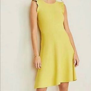 Ann Taylor Ruffle Sleeve Dress